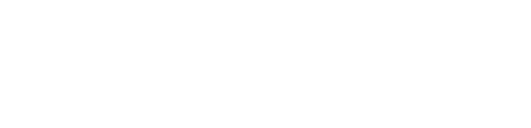 PDV Smart
